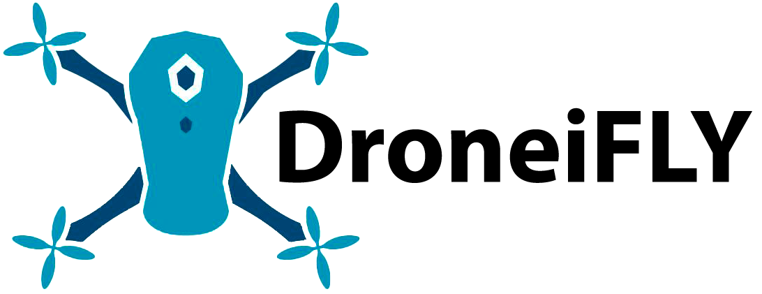 DroneiFly Logo